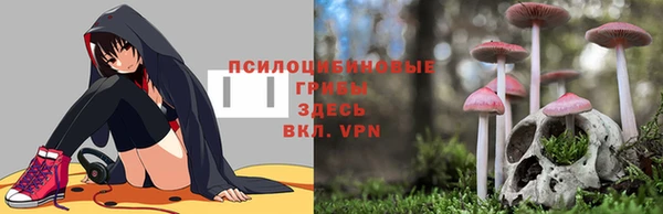 СК Арсеньев