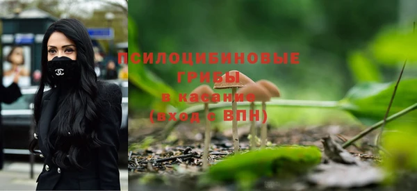 гидропоника Армянск