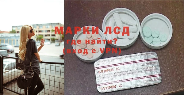 стафф Аркадак