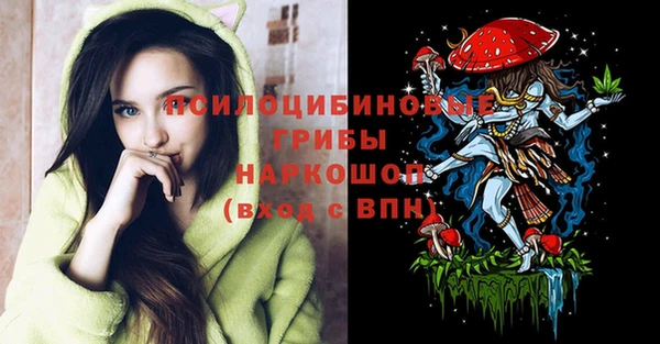 молекула духа Переславль-Залесский