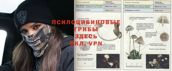гидропоника Армянск