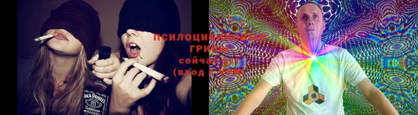 стафф Аркадак