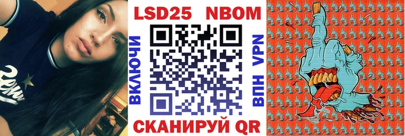 omg вход  Строитель  Марки NBOMe 1,8мг 