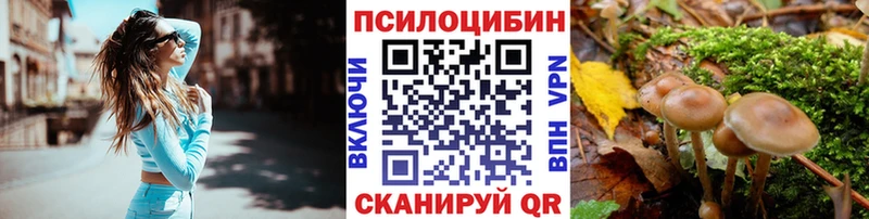 kraken рабочий сайт  Строитель  Псилоцибиновые грибы Magic Shrooms 